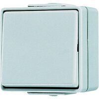 JUNG 606 W - Pushbutton switch - 1P - Wired - Gray - Duroplast - 250 V