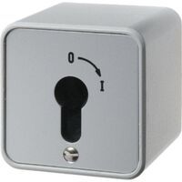 Berker 4466 - Key-operated switch - 2P - Grey - Metal - Plastic - 250 V - 75 mm