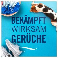 Febreze Programmierbarer Lufterfrischer 3Volution Smart Starter-Kit + Nachfüllflakons