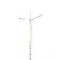 Nedis Antennenkabel auf Rolle / MINI KOAX / Doppelt geschirmt / ECA / 10.0 m / Koax / PVC / Weiss / Eingewickelt