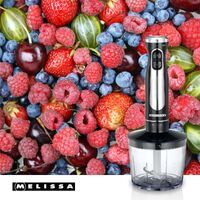 MELISSA Stabmixer-Set / 600 W / 2 Geschwindigkeiten / Variable Geschwindigkeitseinstellung / Mini-Zerkleinerer / Schneebesen / Edelstahlschaft und -klingen / Edelstahl / Schwarz