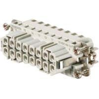 Weidmüller HDC HA 16FT HDC EINSATZ (1896800000)