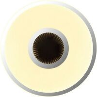 Globo DECKENL. 24W LED 3000K 1200LM (ASTANIA 3D EF.26C606)