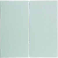 Berker NEP TASTE 2F. PWS GLÄNZEND (85142189 B.X)