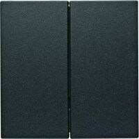 Berker S.1/B.X HBNET TASTE 2F.ANT.MAT (85142185)