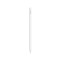 Apple Pencil Pro  (iPad Air + iPad Pro) (MX2D3ZM/A)