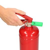 Alecto Feuerlöschgerät Schaum 2 kg
