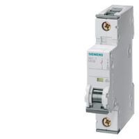 Siemens LS-SCHALTER 6KA, 1POL-B10 (5SY6110-6)