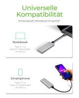 ICY BOX IB-1817MA-C31 - SSD enclosure - M.2 - PCI Express 3.0 - 10 Gbit/s - USB connectivity - Silver