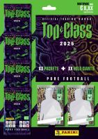 Panini 5 Flow Pack + 1 Holo Card