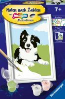 Ravensburger CreArt 23759 - Border Collie Welpe - Malen nach Zahlen Hund für Kinder ab 7 Jahre