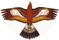 Günther Einleinerdrachen Goldadler, 92x62cm