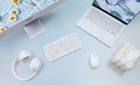 Asus Retail ASUS KW100 Marshmallow Tastatur weiß (90XB0880-BKB4H0)