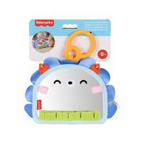 Mattel Fisher-Price Balanced Beginnings Mini Entdecker-Spiegel