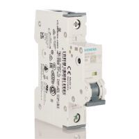 Siemens LS-SCHALTER 6KA, 1POL-C2 (5SY6102-7)
