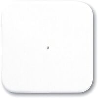 BUSCH JAEGER 6731-214 - Wall-mounted - RF Wireless - Wireless - 1 channels - 868 MHz - White