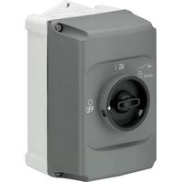 ABB IB132-G GEHÄUSE IP65 GRAU (1SAM201911R1010)