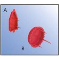 Kaiser Elektrotechnik SIGNALDECKEL F.WANDL.-ANSCHLD. (1181-48)