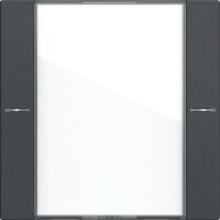 Gira WIPP.S.1F BSF TASTS.4 KL./ANTR (577128 SYSTEM 55)