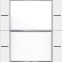 Gira WIPP.S.2F BSF TASTS.4 KL./RWS (577227 SYSTEM 55)