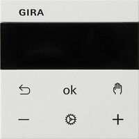 Gira S3000 RTR DISPLAY SYS55 RWS M (SYSTEM 55)