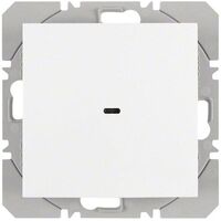 Berker 85655289 - DC - Grey