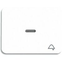 BUSCH JAEGER 1789 KI-24G - White - Busch-Jaeger - 70 mm - 54 mm - 1 pc(s)