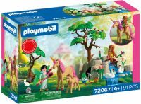 PLAYMOBIL 72067 Ausflug der Feen