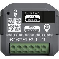 Busch-Jaeger SCHALTAKTOR 2-FACH UP WL (62821 U-WL)
