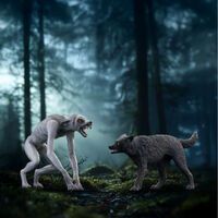 Schleich Werwolf vs. Animagus