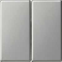 GIRA 0295600 Wippe 2f System 55 Edelstahl 295600