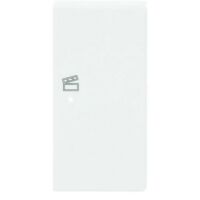 Busch-Jaeger WIPPE/R 2-FACH, SZENE (6233-22-84)