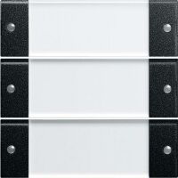 Gira WIPPENSET 3F BSF SYS55 KLAR SW (2133005)