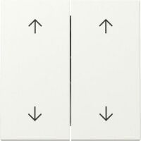 Gira WIPPE 2F PFEILE  RWS M (329727 SYSTEM 55)