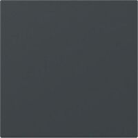 Gira WIPPE GERADE ANTHRAZIT (349628 SYSTEM 55)