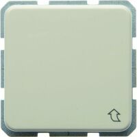 Berker FR-SSTD + KLAPPDECKEL UP  IP44 (4715 WS)