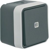 Berker WIPPTASTER BEL. GRAU MATT  W.1 (50763505)