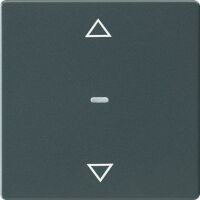 Berker Abdeckung f. Tastensen.-Modul 1fach Q.x anthrazit