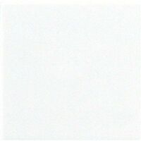 Jung WIPPE F. SCHALTER/TASTER (A 590 WW)