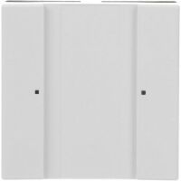 BUSCH JAEGER 6125/02-84 - White - Glossy - Screwless - Busch-Jaeger - 6120-0-0071 6120-0-0074 6310-0-0059 6310-0-0060 6900-0-1703 - CE