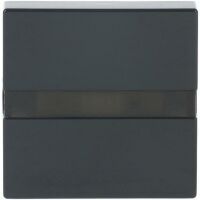 Busch-Jaeger FU KOMFORTSCHALTER FLEX SENS. (64765-81)