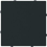 Busch-Jaeger AL C-SCHEIBE BLIND TRAGRING (1742-45M)