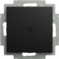 Busch-Jaeger ZENT.SCH.BLIND SW-MATT (2538-915)