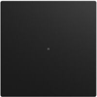 Busch-Jaeger WIPPE 1-FACH, NEUTRAL SW-MATT (6230-10-915)