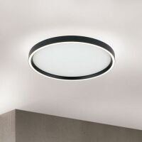Orion DECKENLEUCHTE LED 36W CCT D40 (MASCA SCHWARZ 26A607)