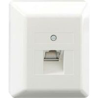 Rutenbeck 13010129 - RJ-45 - -5 - 50 °C - White - Plastic - IP20 - 125 V