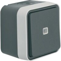 Berker KONTROLL-WECHSELSCH. AP    W.1 (31763505   GRAU MATT)