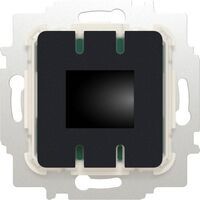 Busch-Jaeger RTR SCHL/FERNF/DISPLAY/BT (1095 UTA-BT)