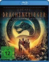 Drachenkrieger - Das Geheimnis der Wikinger (Blu-ray)