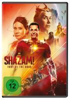 Shazam! Fury Of The Gods (DVD)